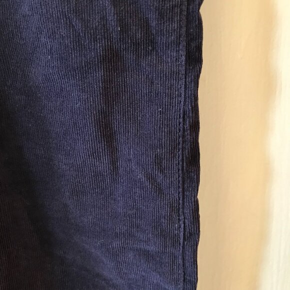 Anthropologie | AG The Everett Navy Corduroy Trousers 27 - Picture 3 of 12